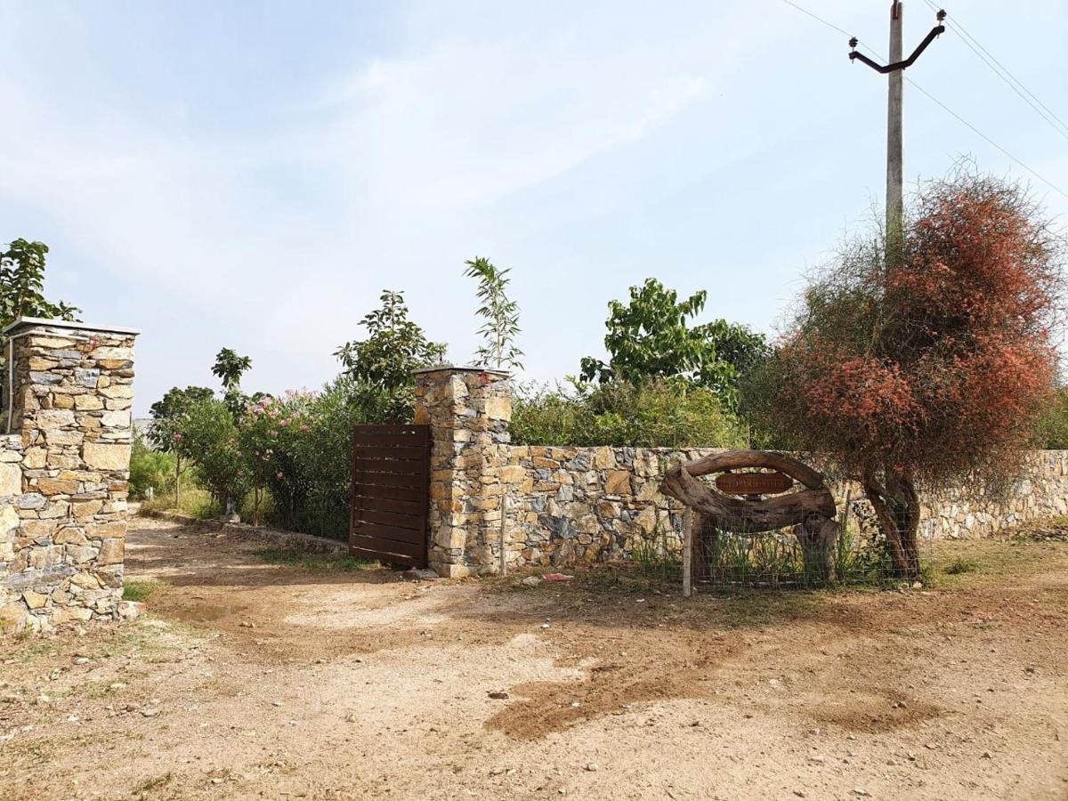Bijapur Lodge Jawai エクステリア 写真