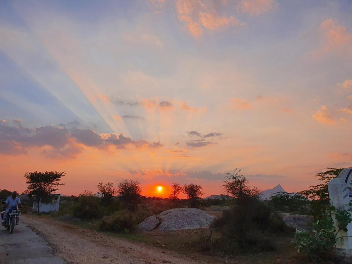 Bijapur Lodge Jawai エクステリア 写真