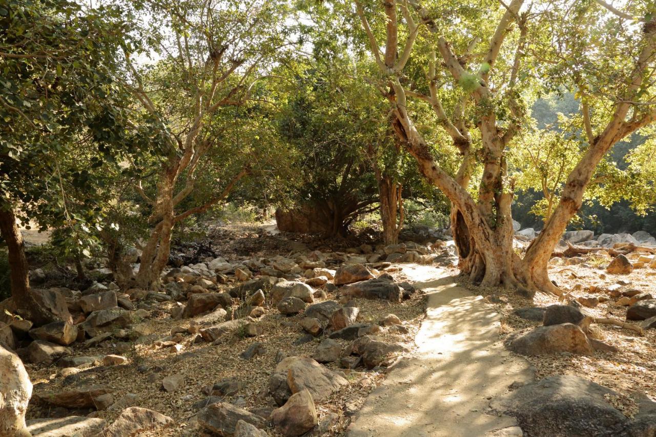 Bijapur Lodge Jawai エクステリア 写真
