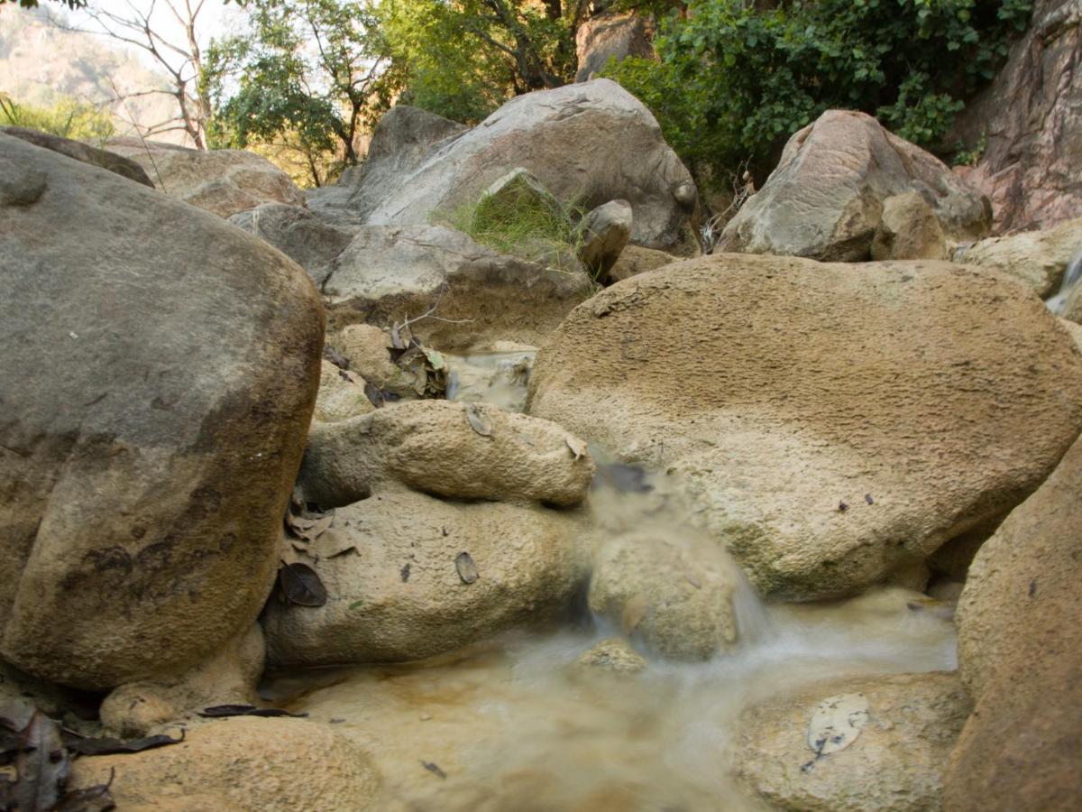 Bijapur Lodge Jawai エクステリア 写真